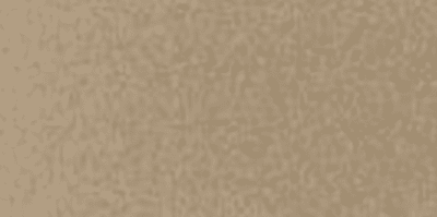 CHAMPAGNE-METALLIC