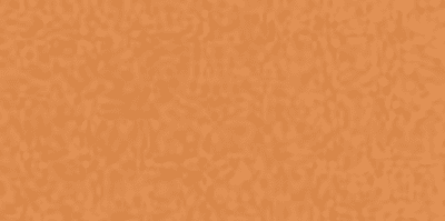 copper-penny